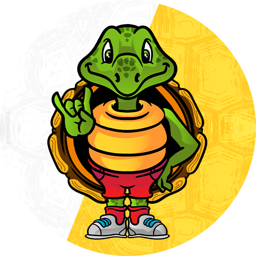 Turtle avatar